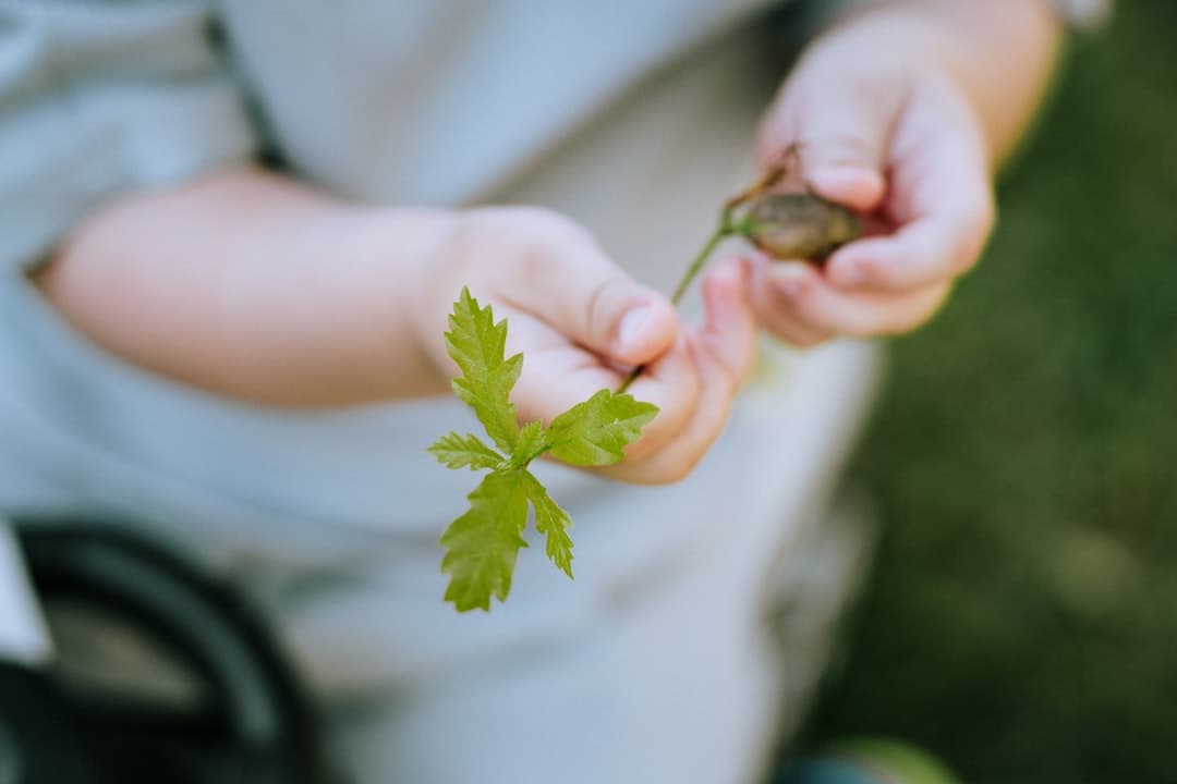 Nature & outdoor exploration