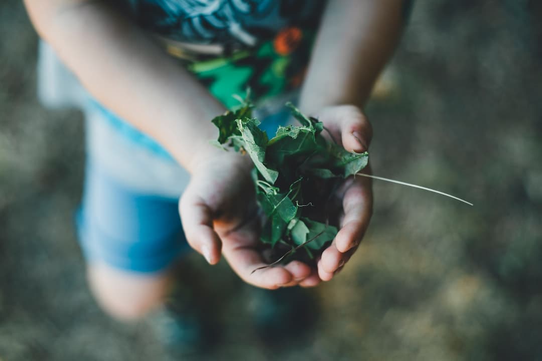 Garden / outdoor learning